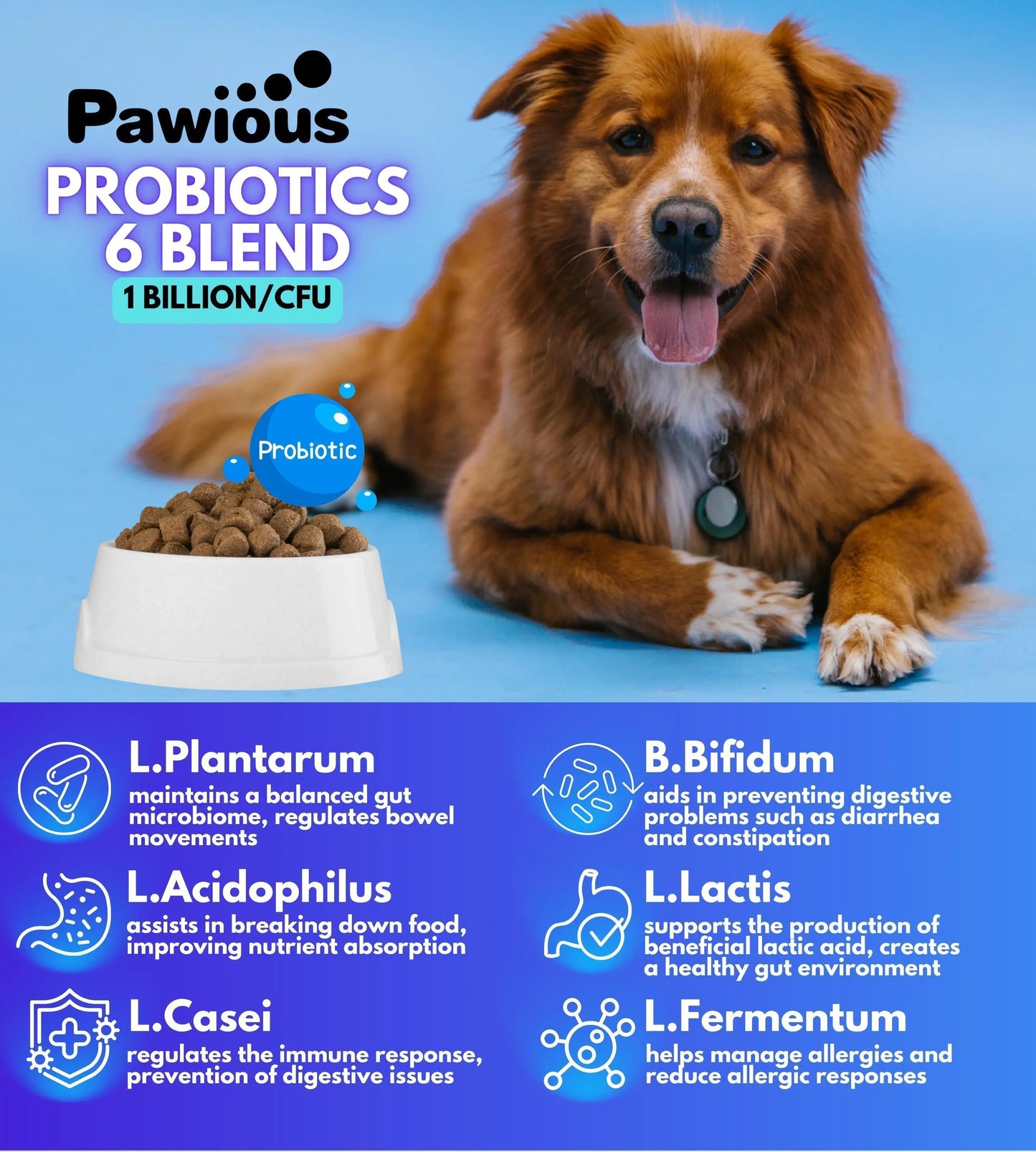 Probiotic Chews for Dogs