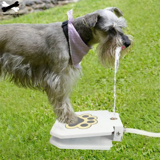 Pet Water Fountain