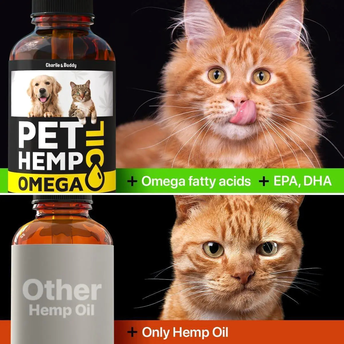 Calming Hemp & Salmon Oil for Pets