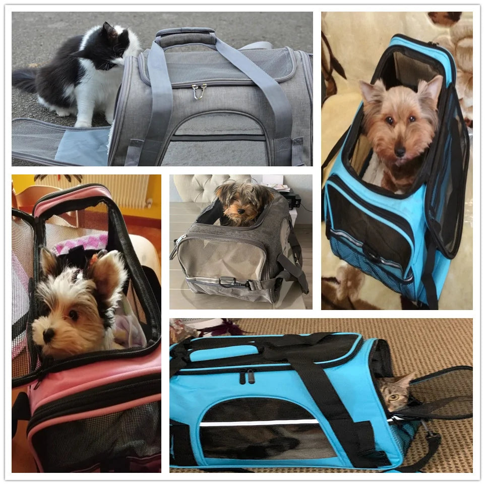 Pet Travel Carrier Bag