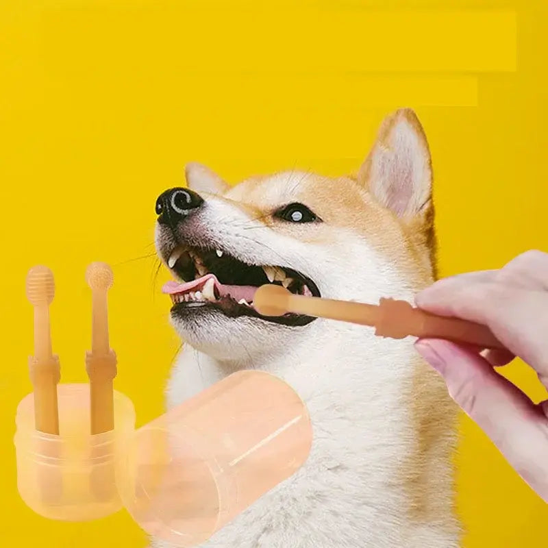 pet toothbrush