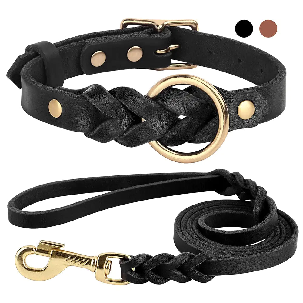 Leather Dog Collar and Leash Set