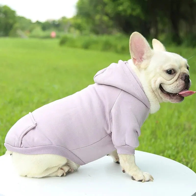 Hooded Pet Sweater