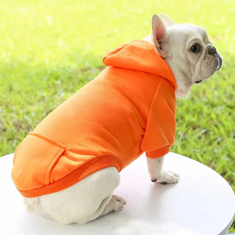 Hooded Pet Sweater