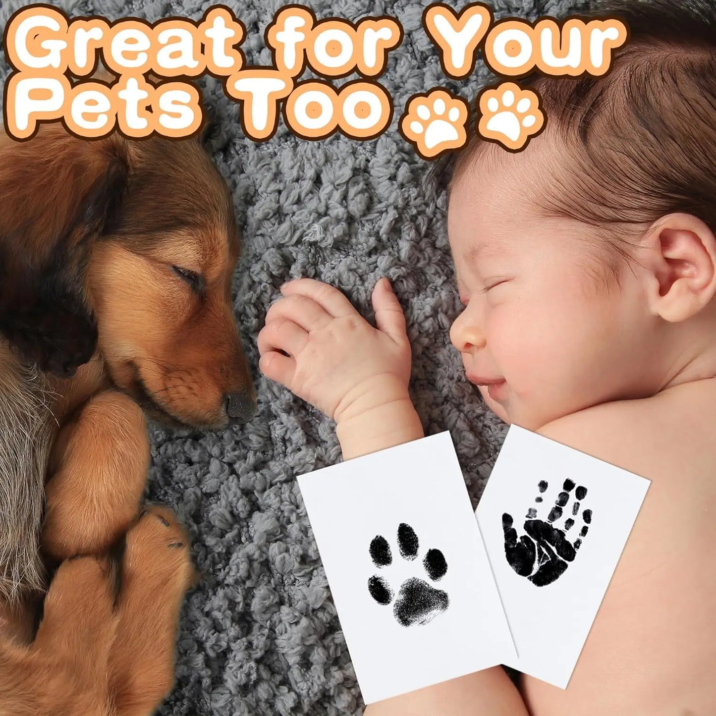 Pet Paw Print Kit