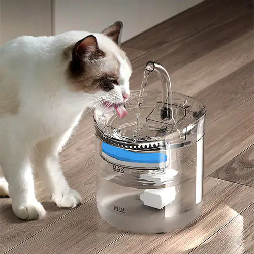 Auto-Fresh Pet Water Fountain