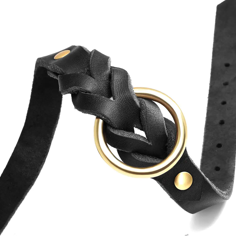 Leather Dog Collar and Leash Set