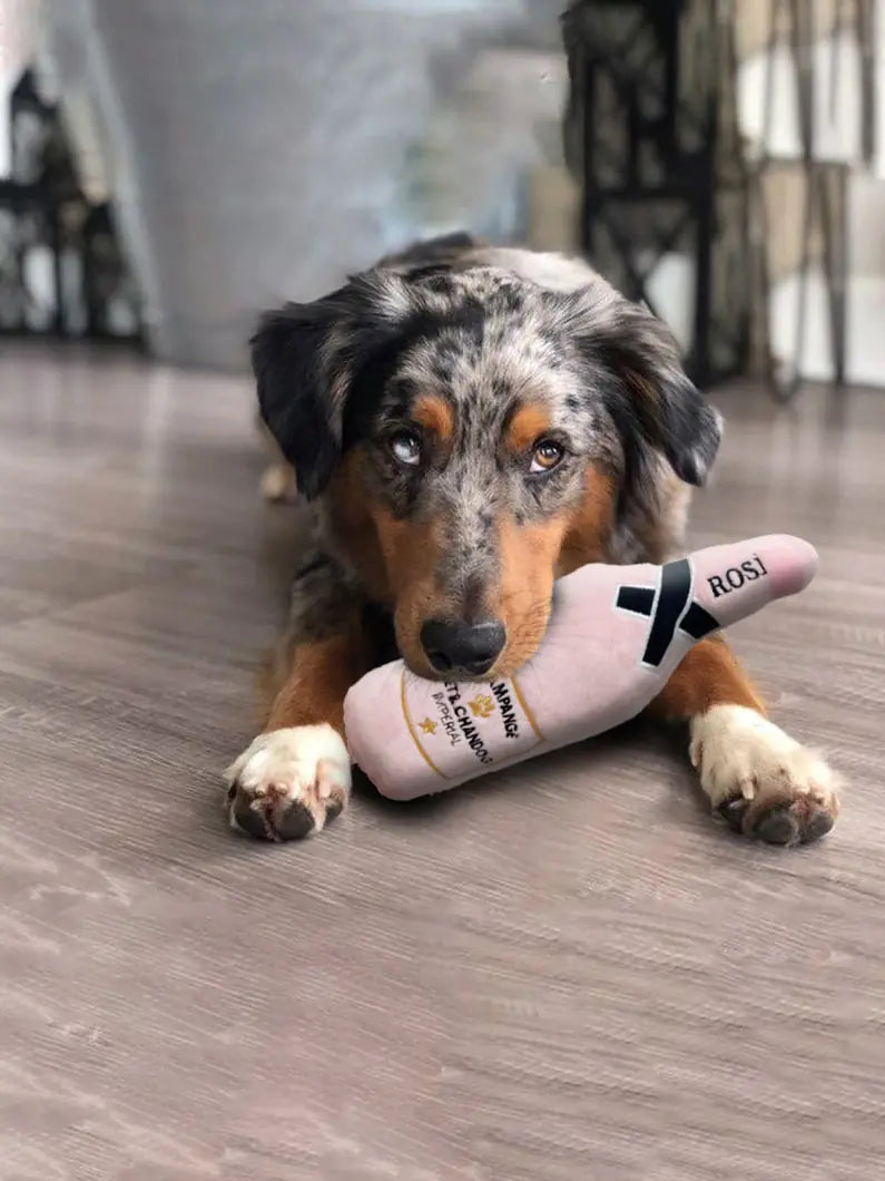 Whiskey Barrel Dog Toy