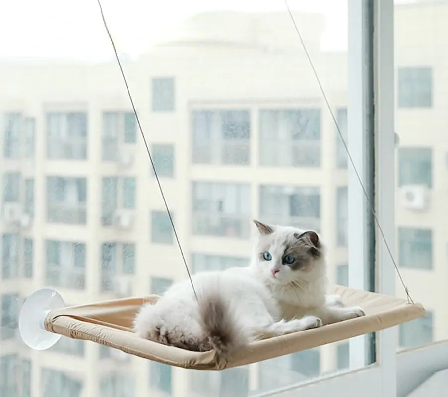 Ultimate Cat Window Hammock